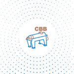 Difference between separator and centrifugal decanter